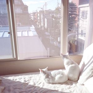 91免费看香蕉视频
