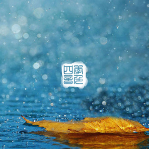 91免费看香蕉视频
